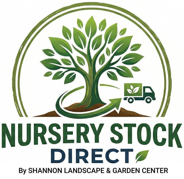 nursery-delivery-ct
