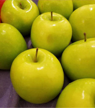 malus Granny Smith (Granny Smith Apple)